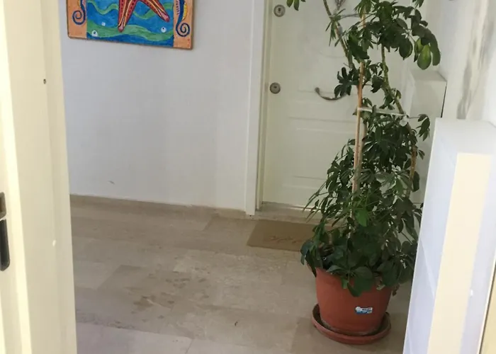 דירה & Family דלמן