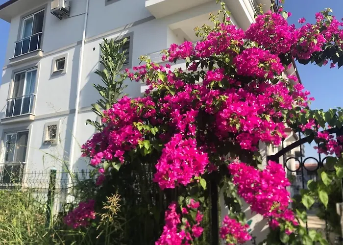 דירה & Family דלמן