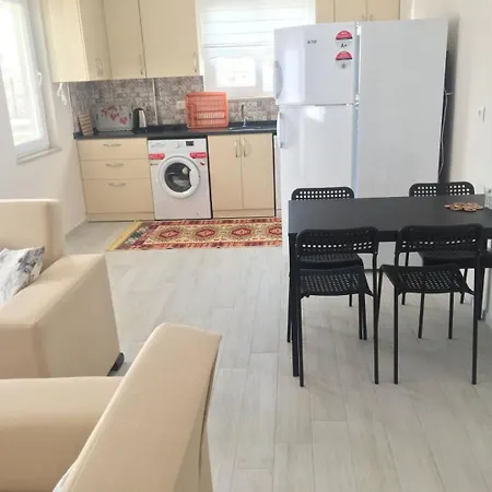 & Family * 달라만